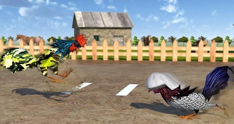 功夫鸡战 2024-06-25 15:08