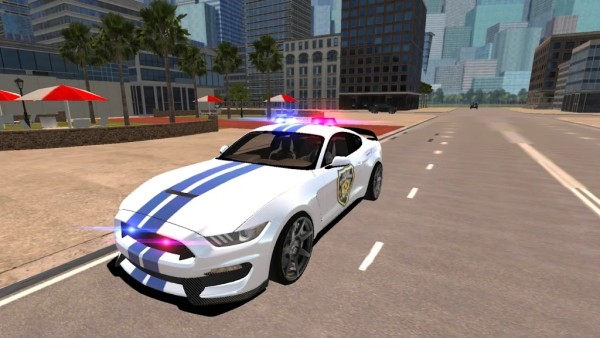 野马警车驾驶2021截图2