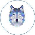 Wolf Network数藏