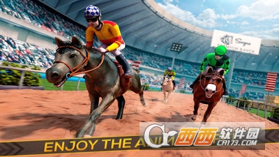 赛马场手游 v2.11.4 安卓版