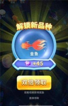 每天鱼塘截图1
