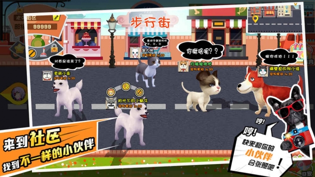 宠物天团截图1