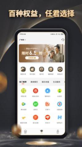 魔方黑卡截图3
