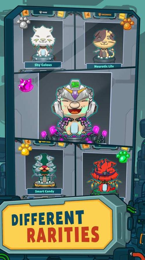 猫咪实验室 v3.0.5