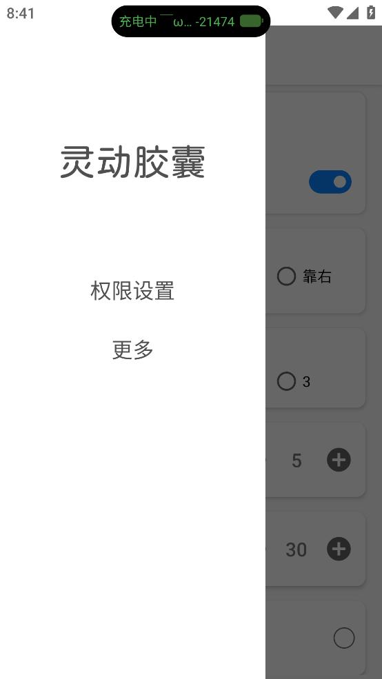 灵动胶囊截图1