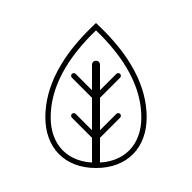 新新水木