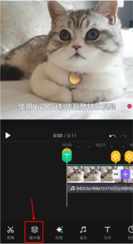 vivacut国际版