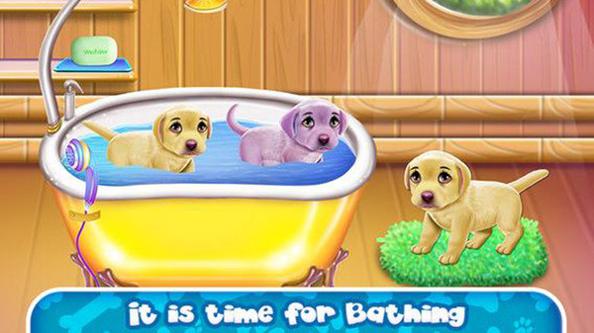 拉布拉多四胞胎新生儿护理 v3.0.5