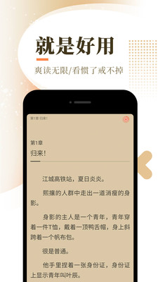 之桃小说
