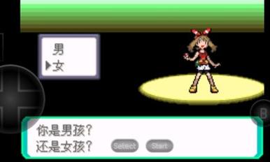 口袋妖怪之暗影归来2.0版.jpg