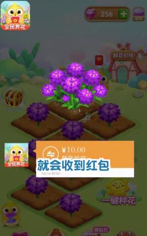 全民养花红包版正版游戏app图片1
