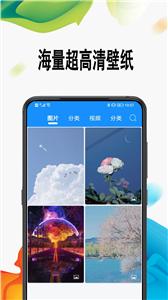 绵越壁纸大全截图2