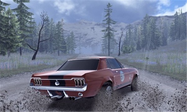 CarX拉力赛汉化版  v18916