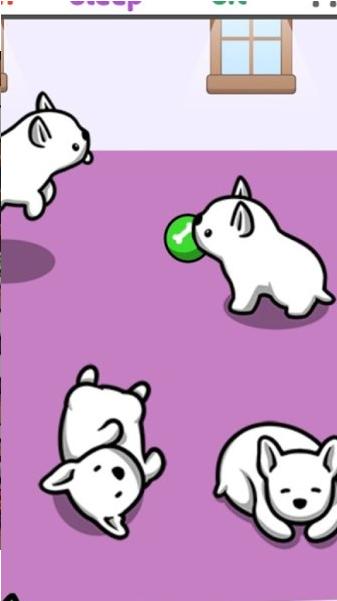 宠物之家 2024-06-25 15:08