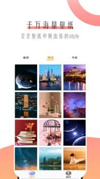 小鸟个性主题壁纸截图2