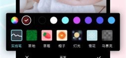 微录主