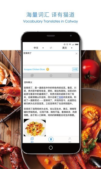 猫道截图2