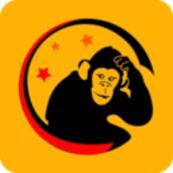 类人猿科技咨询