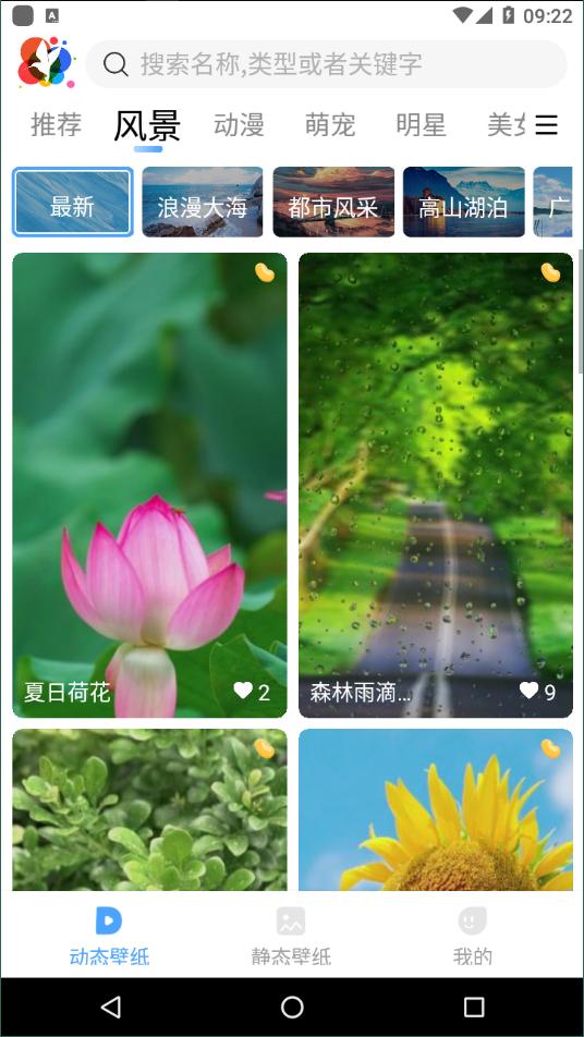 小鸟壁纸.png
