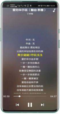 仲夏音乐截图1