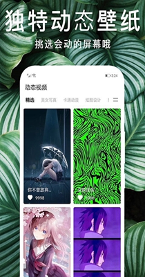 灵猫桌面壁纸截图2