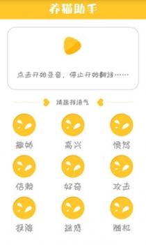 猫咪小助手截图0