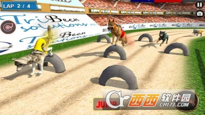 狗赛车锦标赛手游 v1.0.3