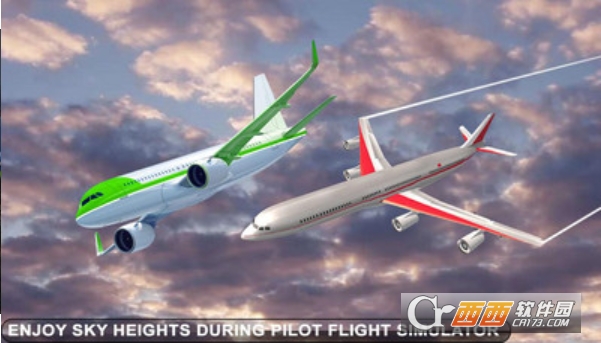的士航空运输3D V1.0 安卓版