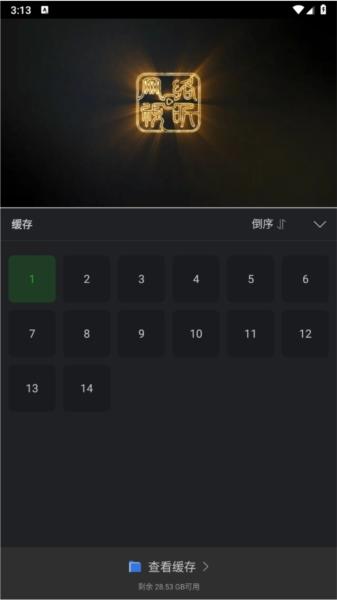 狮子影评
