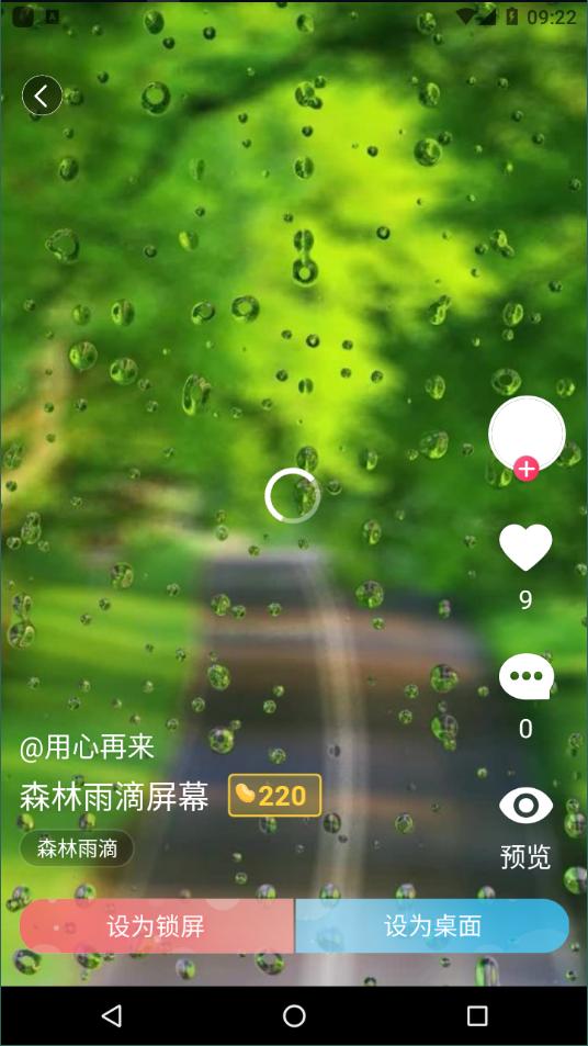 小鸟壁纸.png