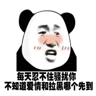 每天骚扰你不知道爱情和拉黑哪个先来的表情包
