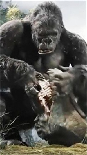 哥斯拉金刚王国  v1.3