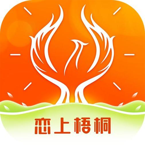 恋上梧桐
