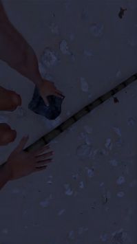 海岛战争求生 v3.1.5