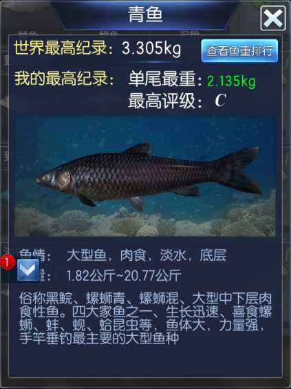 钓鱼大咖王者之战