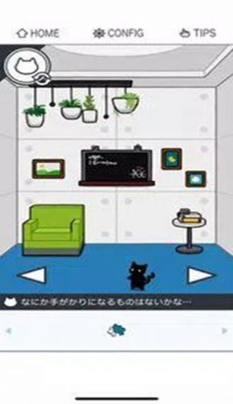 pair room截图2