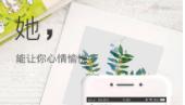 动态壁纸神器