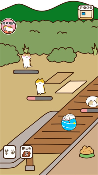 猫咪田园游戏 v1.00
