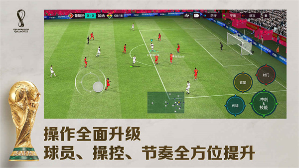 FIFA足球世界世界杯