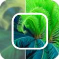 数创模糊照片修复