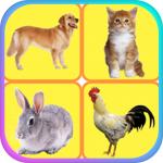 儿童游戏学动物