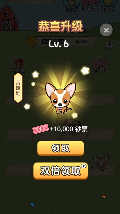 我的狗狗奇奇