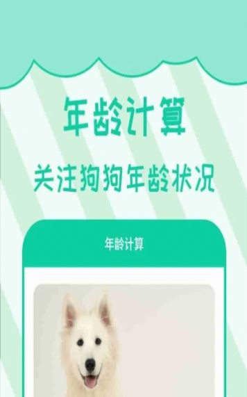 宠物人狗翻译截图1