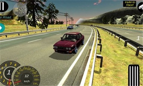 多人停车4.6.6  v4.6.6