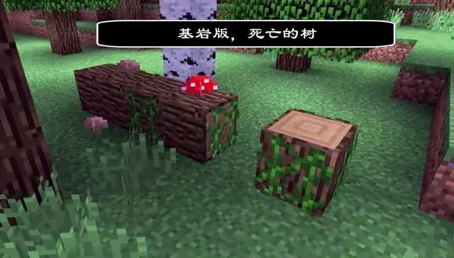 我的世界基岩版1.20