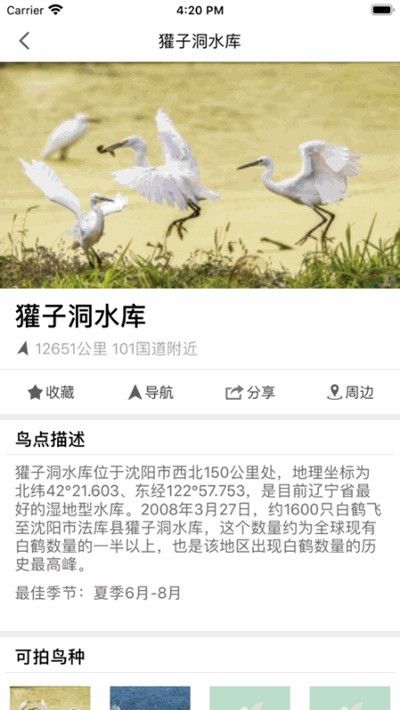 和地图鸟网