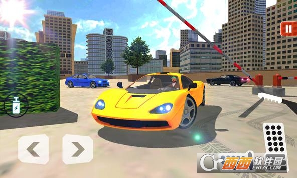 Parking Man 2019(停车达人2019) v1.0 安卓版