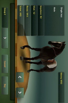 JumpingHorses(3D障碍赛马电脑版)截图2