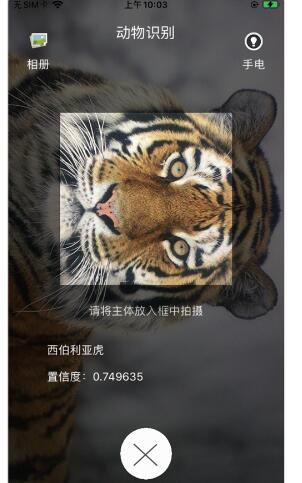 猎鹰动物识别