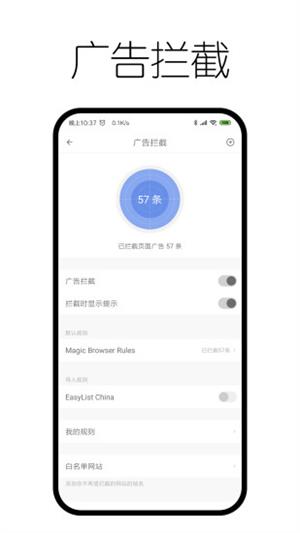 神奇浏览器截图2
